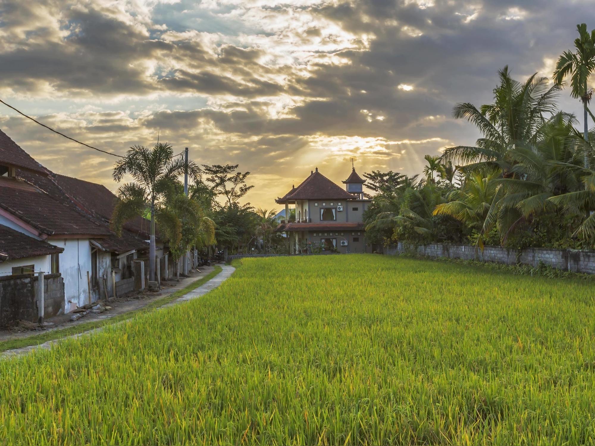 Abipraya Ubud Экстерьер фото